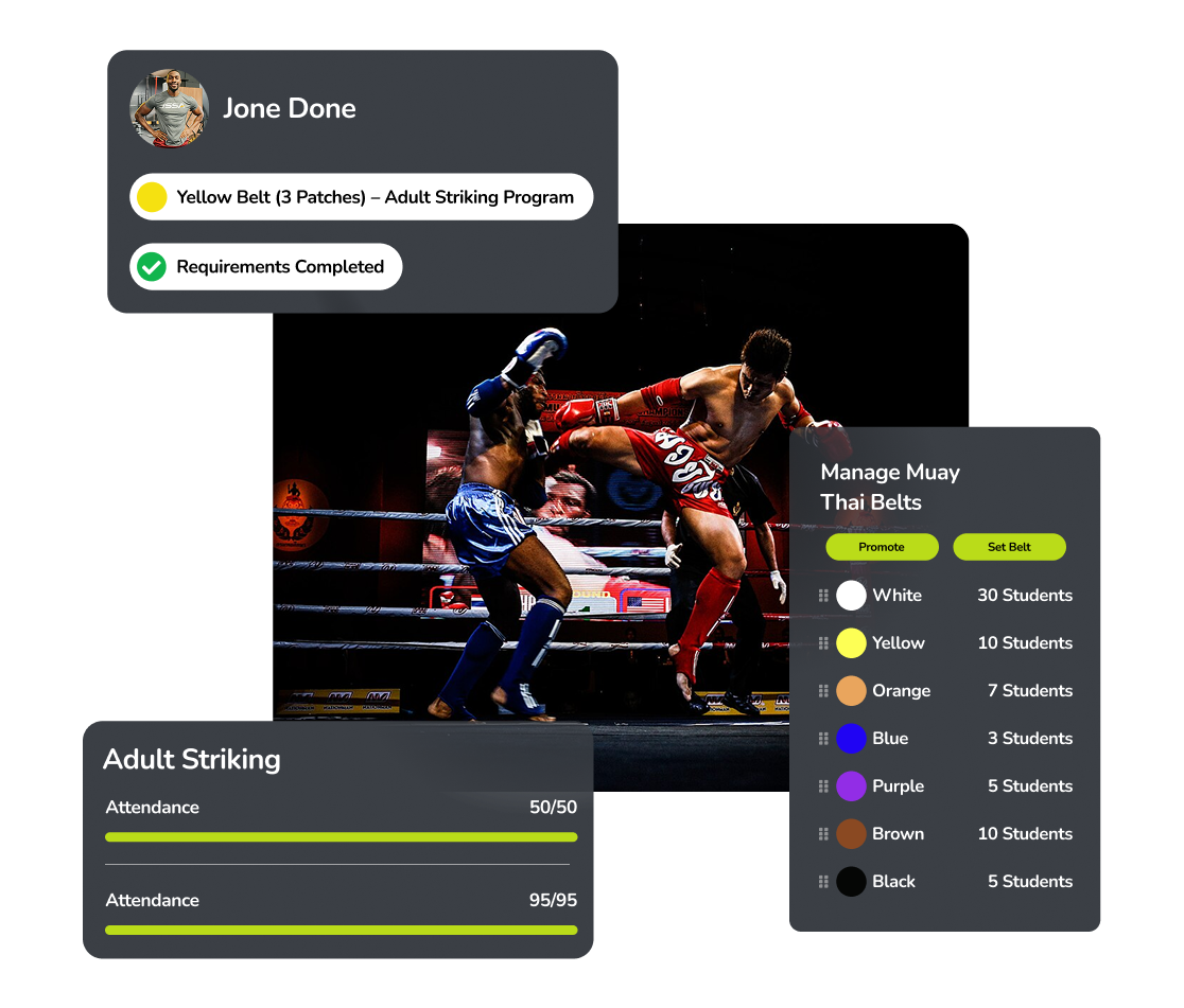 Belt Tracking Interface